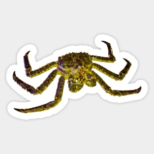 King Crab Sticker